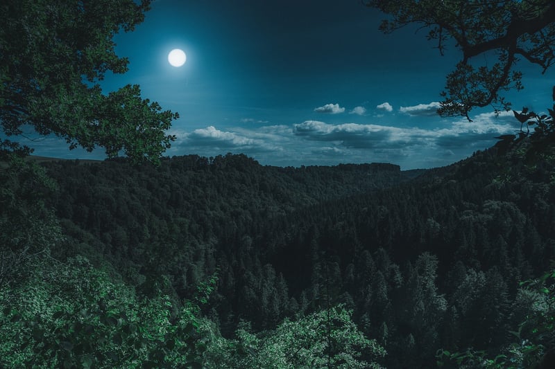 Moonlit Romance Image