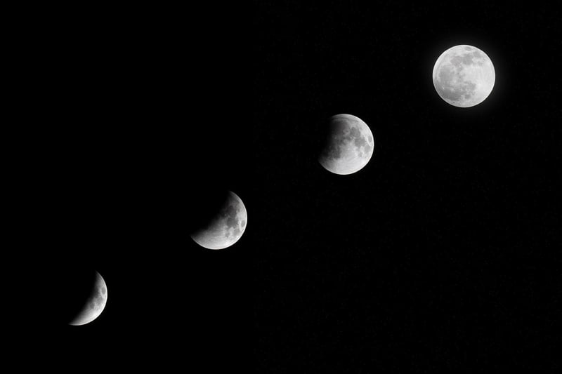 Moonlit Vows